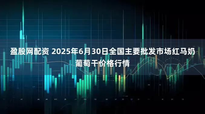 盈股网配资 2025年6月30日全国主要批发市场红马奶葡萄干价格行情