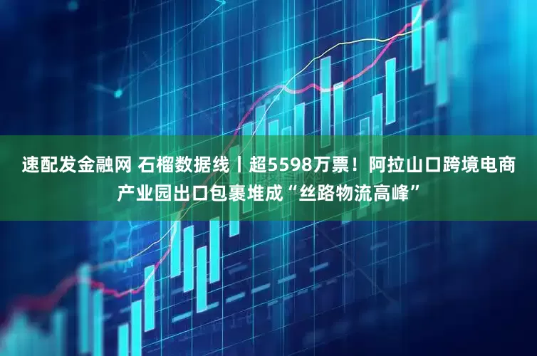 速配发金融网 石榴数据线丨超5598万票！阿拉山口跨境电商产业园出口包裹堆成“丝路物流高峰”