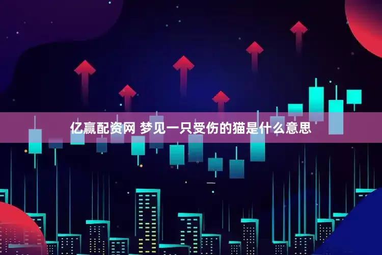 亿赢配资网 梦见一只受伤的猫是什么意思